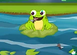Frog Feast