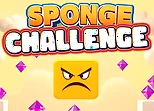 Sponge Challenge