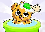 Cute Baby Pet Care