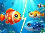 Fish Frenzy Eat Some Fish