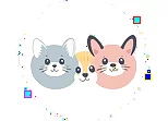 CRAZY ANIMALS
