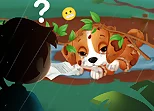Lost Puppy Rescue and Care